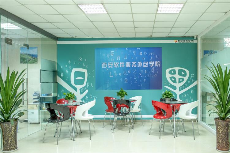 西安软件服务外包学院